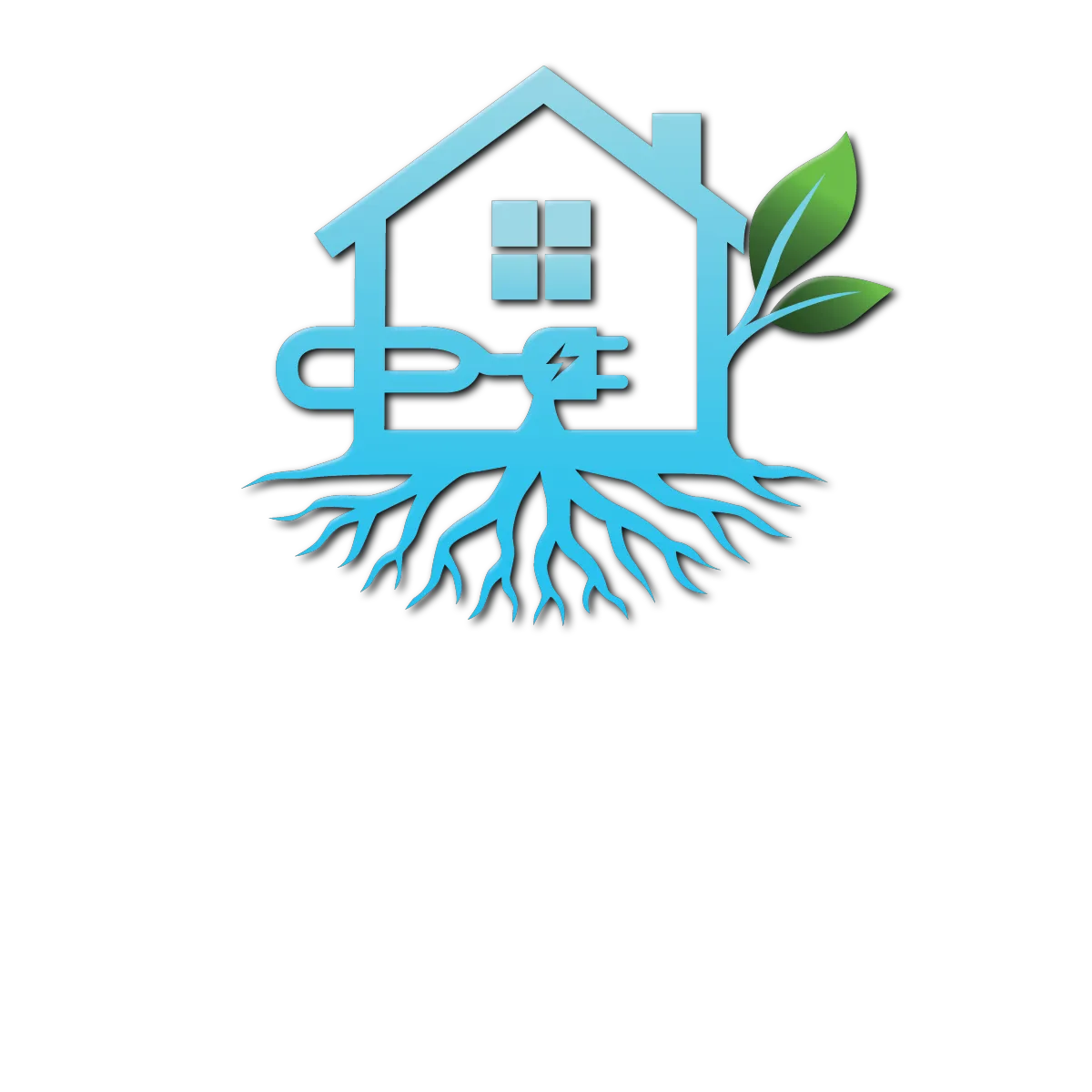 EcoFlow Electric